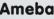 Ameba